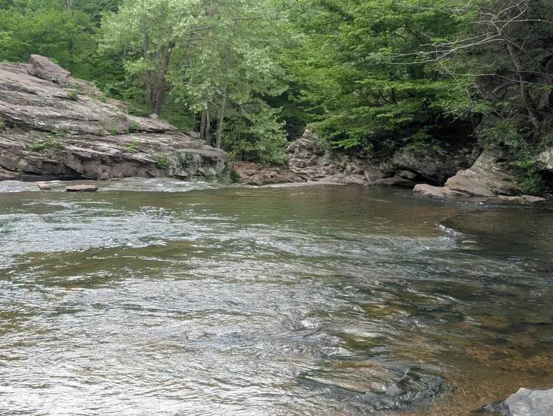 Flowing creek between rocky banks and leafy trees in the Turkey Creek Nature Preserve collection
