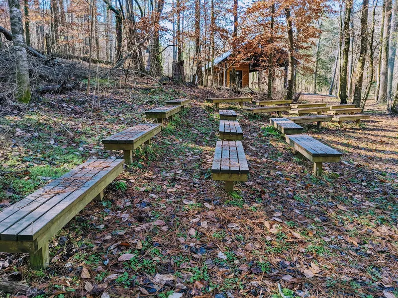 Outdoor wooden benches among trees and fallen leaves in the Turkey Creek Nature Preserve collection