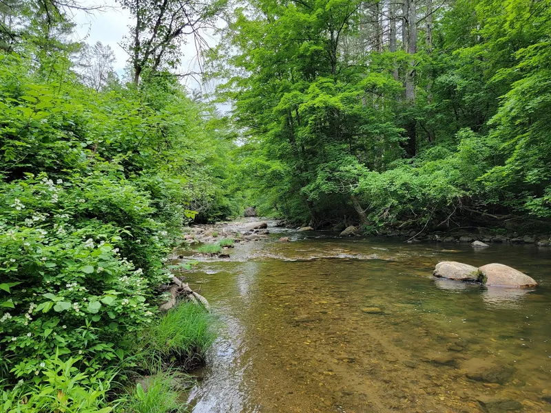 Rocky wooded river reach in a historical Umpachene Falls photo, not a verified water entry