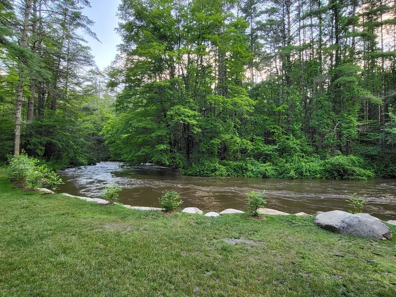 Grassy riverside bank and woodland in the saved Umpachene Falls Park collection