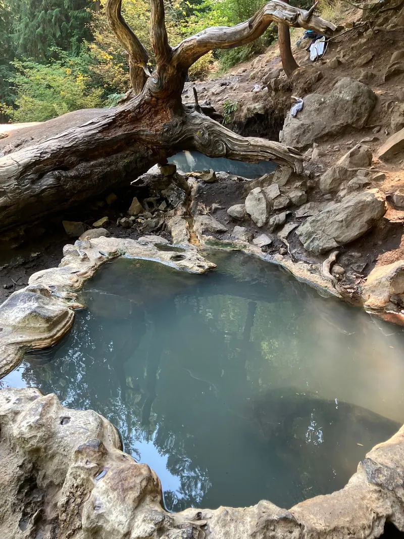 Empty mineral-edged soaking pools beneath a twisted fallen trunk on a rocky wooded slope at Umpqua Hot Springs; historical terrain detail