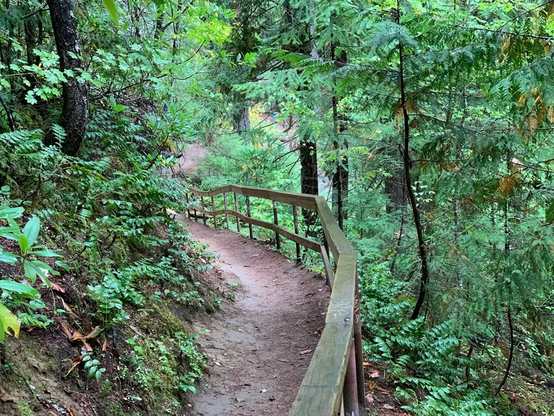 Steep wooded path with a wooden railing at Umpqua Hot Springs