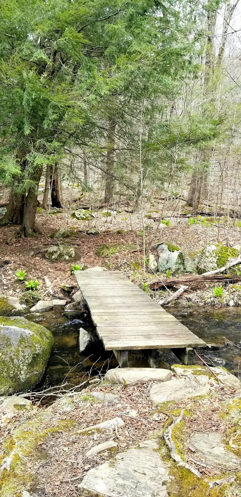 Small wooden footbridge over a woodland stream in the saved Upper Goose Pond approach collection