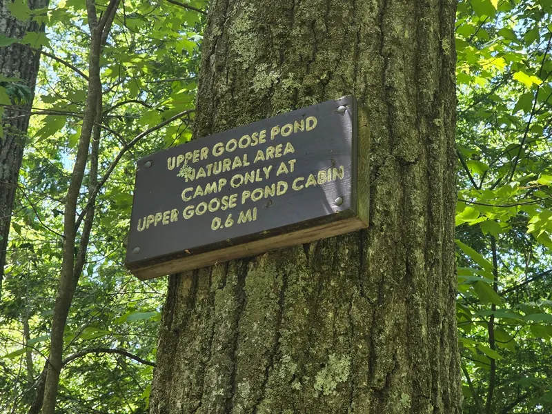 Upper Goose Pond Natural Area sign directing camping to the cabin site in a historical photo
