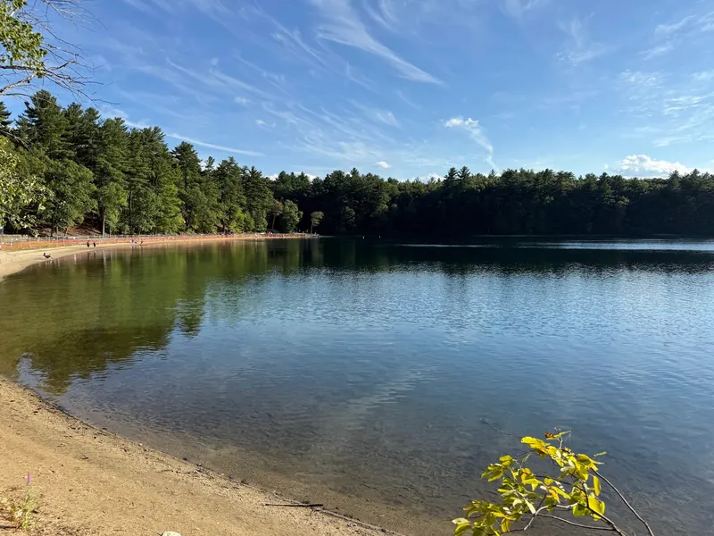 Historical Walden Pond shoreline and wooded opposite bank, not a current beach-opening report