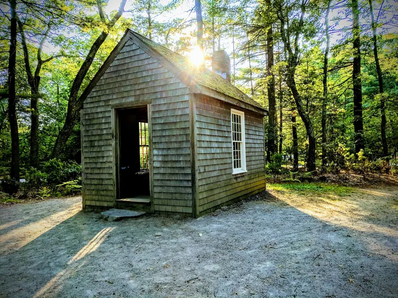 Thoreau cabin replica in the wooded Walden Pond reservation setting