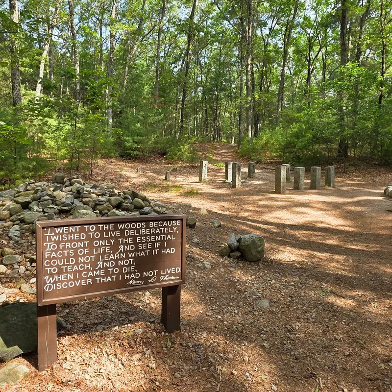 Thoreau quotation sign and house-site markers in woodland at Walden, distinct from the replica cabin