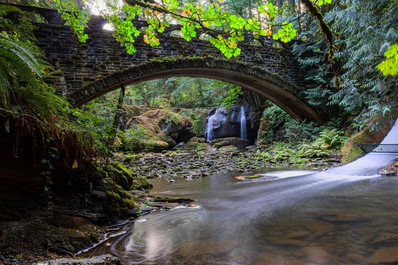 Stone arch bridge over Whatcom Creek, with waterfalls, ferns and mossy rocks in Whatcom Falls Park