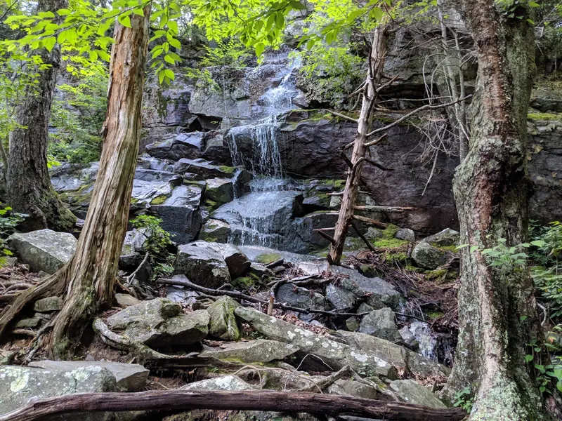 Cascade flowing down layered rocks among trees in the White Rock Falls area