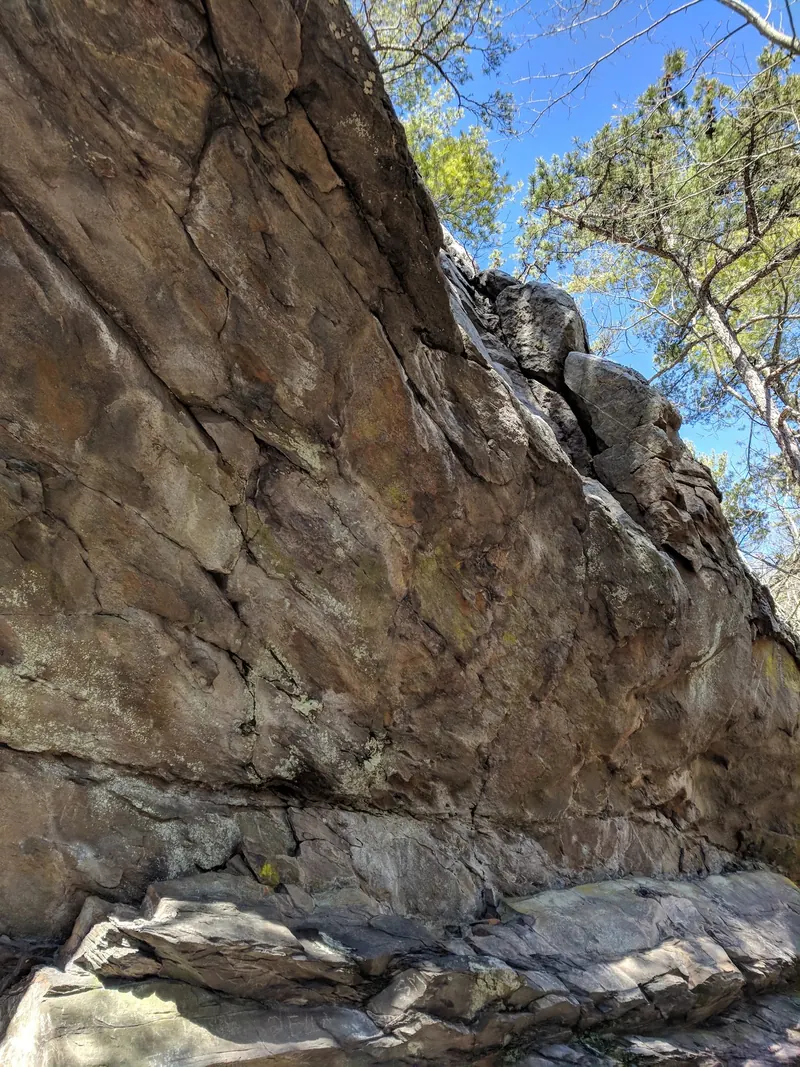 Tall rock wall beneath trees in the White Rock Falls gorge