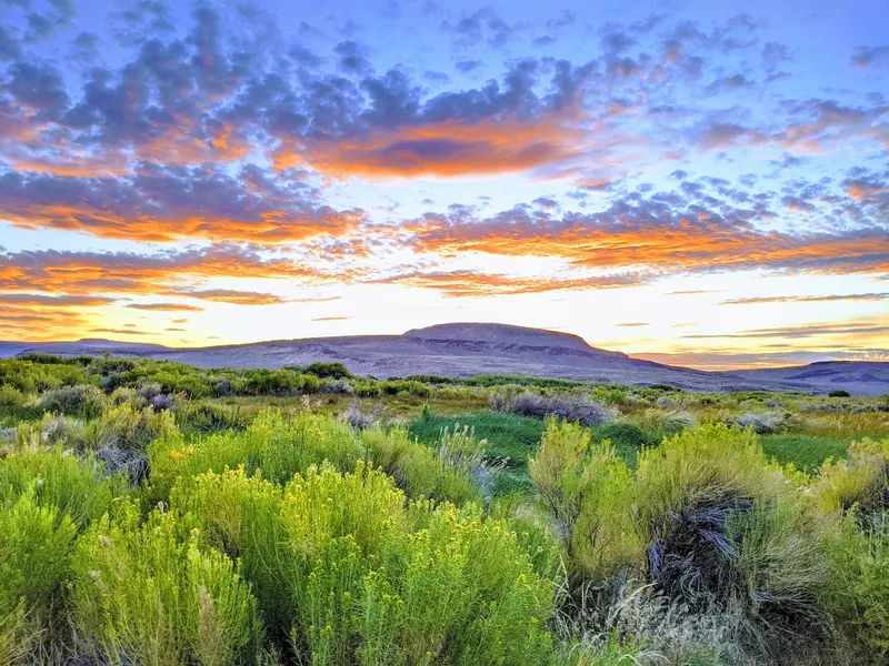 Golden sunset above desert shrubs and a flat-topped hill in the Willow Creek Hot Springs photo collection