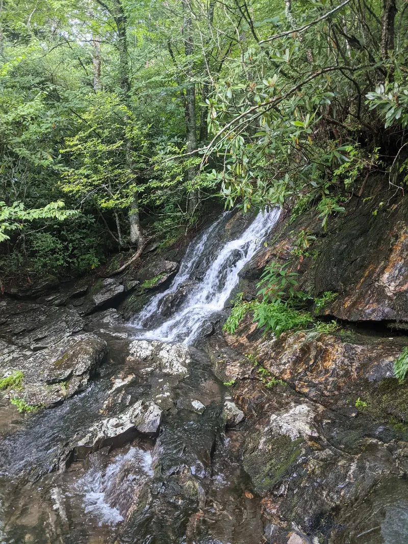 Wildcat Falls cascading over rock among green woodland foliage